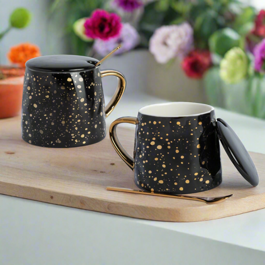 Swasha Combo Mug Set of 2 (300 ml)