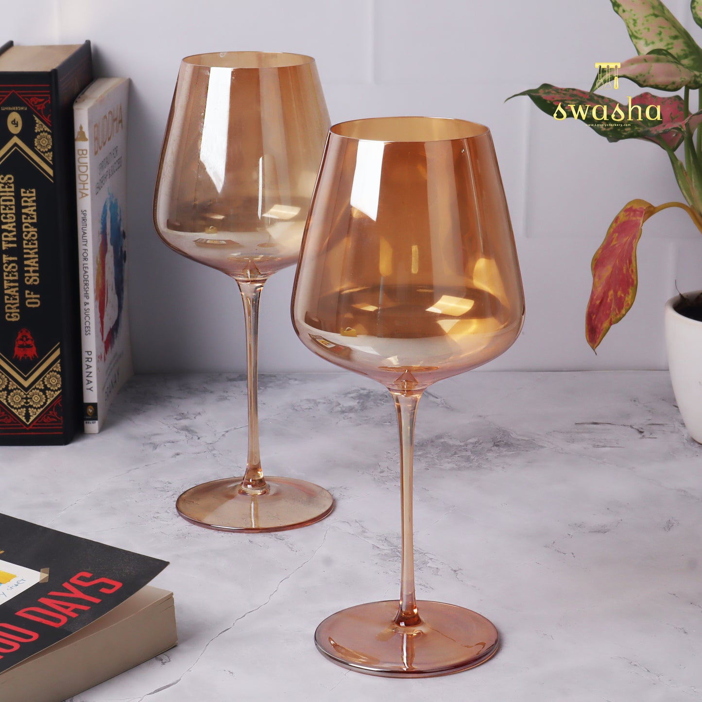 Set of 6 elegant wine glasses - elevate your dining experience with this classic set