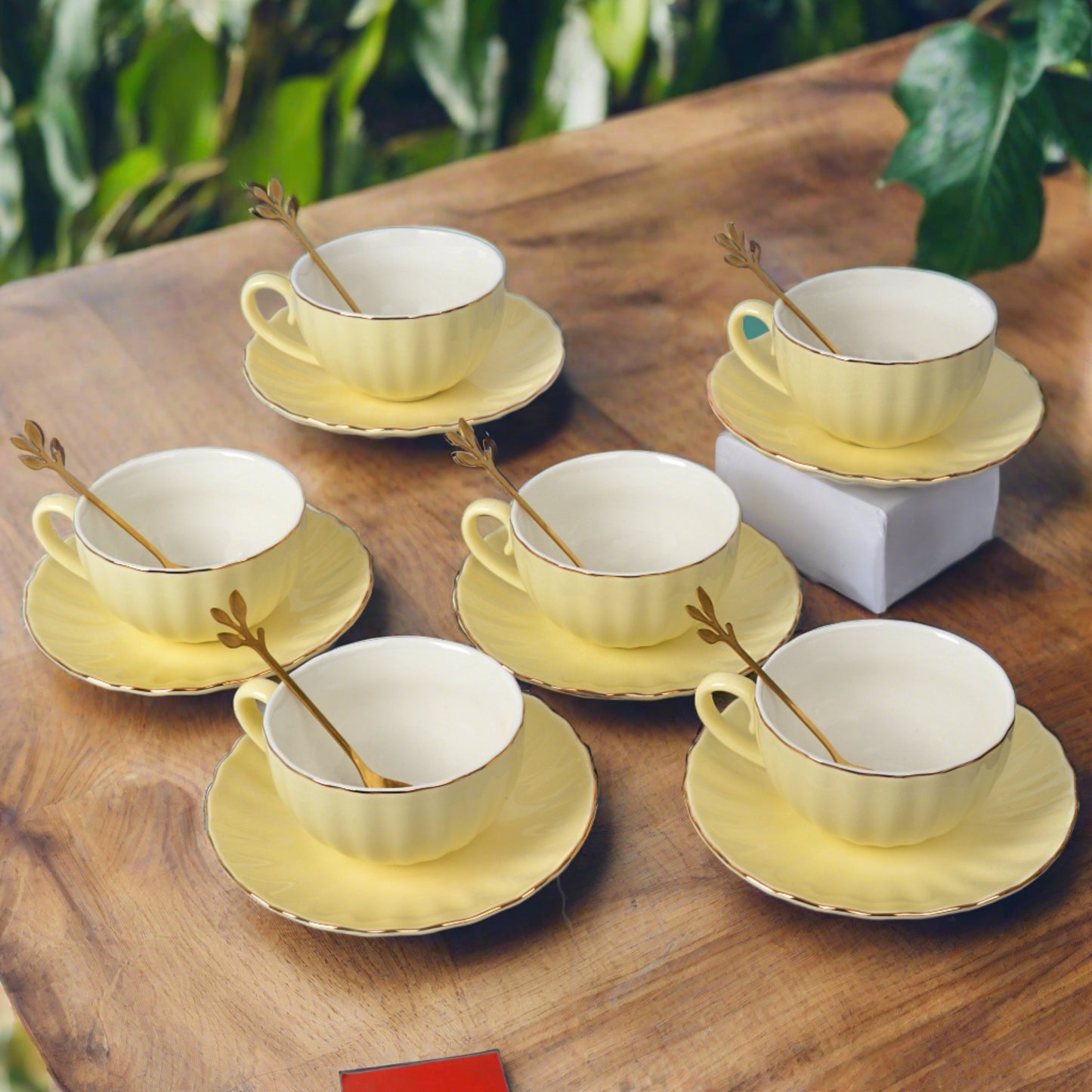 Cup and Saucer with Spoon Set of 6